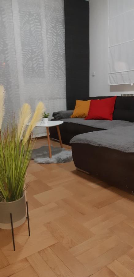 With Garage Lavici Apartment